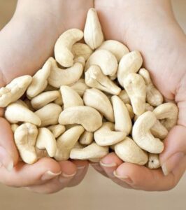 Dryfruit: काजू रोज़ सेवन करने से होंगे कई कमाल के फायदे, पाचन के लिए होते है फायदेमंद