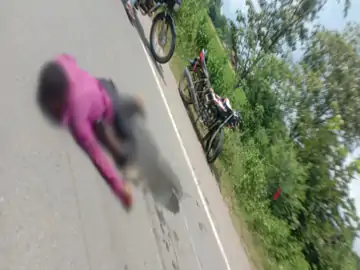 CG News : ट्रक ने बाइक को मारी टक्कर, हादसे में 3 लोगों की मौत