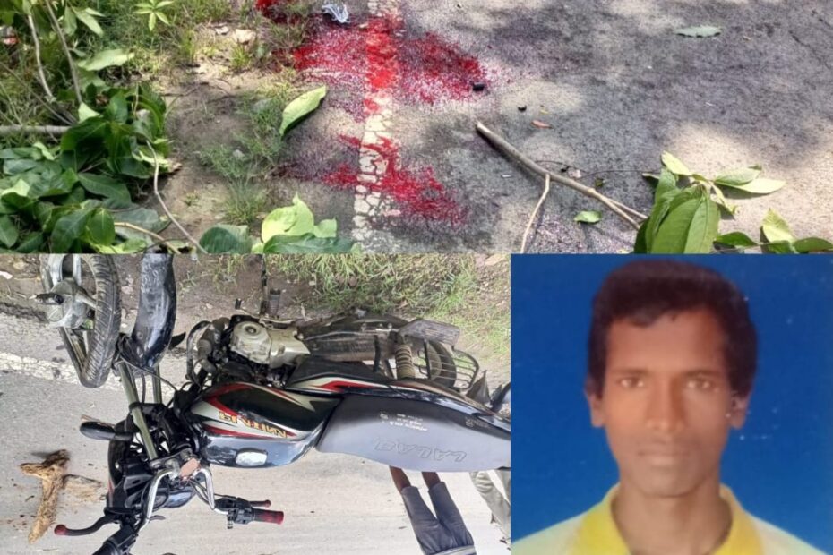 Raigarh News : बाईक और मेटाडोर मैं टक्कर, एक की मौत