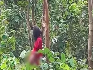 CG News: पति पत्नी की बेरहमी से हत्या, डेढ़ साल के मासूम को भी नहीं छोड़ा