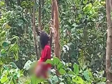 CG News: पति पत्नी की बेरहमी से हत्या, डेढ़ साल के मासूम को भी नहीं छोड़ा