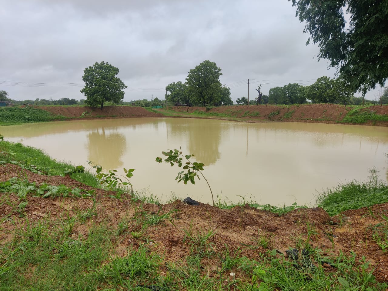 Raigarh News; बारिश में लबालब हो रहे गर्मियों में खुदवाए 200 तालाब