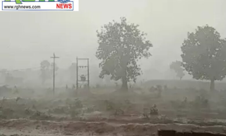 Cg News: छत्तीसगढ़ मे झमाझम बारिश से महाराष्ट्र सहित 4 राज्यों से टूटा संपर्क, कई जगह गिरे मकान