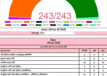 Bihar Chunav Result: बिहार चुनाव में सरकार बनाने के लिए कितनी सीटें जरूरी? यहां जानें गणित