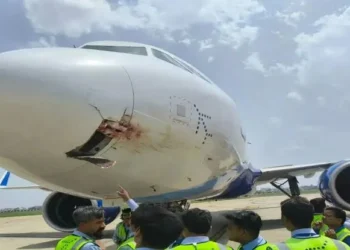 Bird Hit: देहरादून जा रहा इंडिगो विमान हुआ ‘बर्ड हिट’ का शिकार, बाल-बाल बचे 186 यात्री,