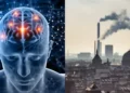 Air Pollution: Air Pollution ब्रेन के लिए गंभीर खतरा, जानें खराब AQI से ब्रेन को क्या पड़ेगा असर?