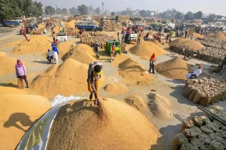 Chhattisgarh top news: छत्तीसगढ़ प्रशासन की बड़ी कार्रवाई, 1500 क्विंटल अवैध धान जब्त… 42 मामलों में हुई बड़ी कार्रवाई