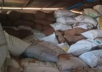 Raigarh News: प्रशासन के सख्त रुख से धान के अवैध परिवहन, भंडारण में लगे बचौलियों और कोचियों के हालत हो रहे पस्त, कार्यवाही निरंतर जारी