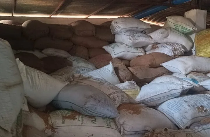 Raigarh News: प्रशासन के सख्त रुख से धान के अवैध परिवहन, भंडारण में लगे बचौलियों और कोचियों के हालत हो रहे पस्त, कार्यवाही निरंतर जारी