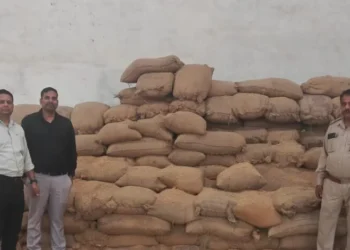 Raigarh News: रायगढ़ में अवैध धान खपाने की बड़ी साजिश नाकाम, 23 कोचियों-बिचौलियों से 4583 क्विंटल धान जप्त