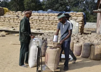 Raigarh News: रायगढ़ जिले में धान खरीदी कार्य प्रगति पर, 5.24 लाख क्विंटल से अधिक धान की हो चुकी खरीदी