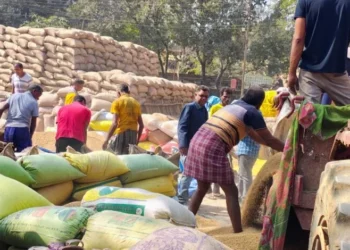 Raigarh News: रिकॉर्ड धान खरीदी: जिले में अब तक 8,89,778.80 क्विंटल धान की खरीदी, 18,176.75 लाख से अधिक का सीधा भुगतान