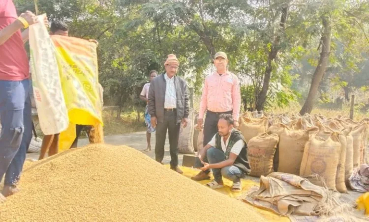 Raigarh News: जिले में 19,436 किसानों ने बेचा धान, 10 लाख क्विंटल से अधिक खरीदी