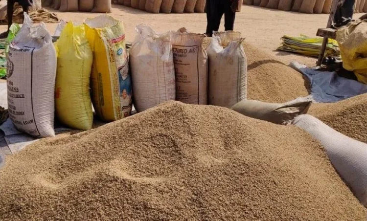 Raigarh News: रायगढ़ में अब तक 18 लाख 33 हजार क्विंटल से अधिक धान की खरीदी