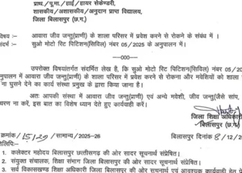 Chhattisgarh Samachar: छत्तीसगढ़ में सरकारी शिक्षकों को DEO का नया फरमान; अब शिक्षकों को मिली सांप-बिच्छू भगाने की नई जिम्मेदारी..