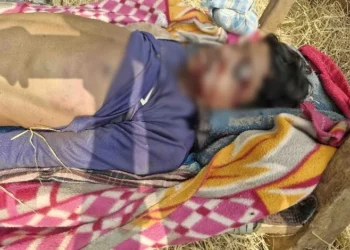 Bijapur Naxal Killing: नक्सलियों की खौफनाक वारदात; मुखबिरी के शक में सरेंडर नक्सली की धारदार हथियार से की हत्या