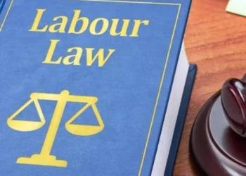 New Labour Codes: इस दिन से पूरी तरह से लागू होगा New Labour Code! मसौदा जल्द प्री-पब्लिश करेगी सरकार