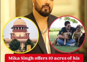 10 एकड़ जमीन किया कुत्तों के लिए दान। आवारा कुत्तों के कल्याण के लिए लिया फैसला।