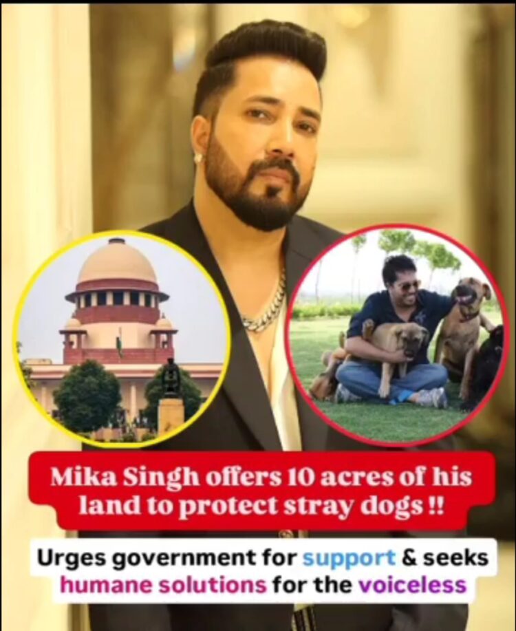 10 एकड़ जमीन किया कुत्तों के लिए दान। आवारा कुत्तों के कल्याण के लिए लिया फैसला।