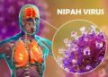 पश्चिम बंगाल के एक अस्पताल की दो नर्सें निपाह वायरस से हुवे संक्रमित।