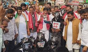 Chhatisgarh news: करोड़ों रुपये के धान घोटाला मामला में कांग्रेस के नेताओं ने किया प्रदर्शन।