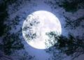 Super Moon : आज रात दिखेगा सुपर वुल्फ मून। पृथ्वी के काफी करीब चमकेगा चांद।