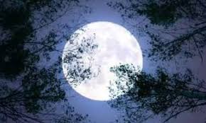 Super Moon : आज रात दिखेगा सुपर वुल्फ मून। पृथ्वी के काफी करीब चमकेगा चांद।
