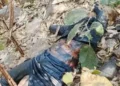 Chhatisgarh news: महासमुंद जिले में एक नाबालिग लड़के की शव जंगल में मिली