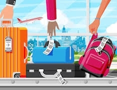 सरकार ने भारत आने वाले यात्रियों के लिए बैगेज नियमों में बदली। जानिए नया नियम क्या है।