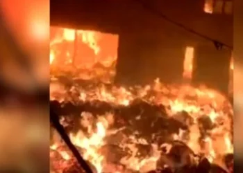 Chhattisgarh news: रायपुर में टिंबर और सरिया फैक्ट्री में लगी भीषण आग; जलकर स्वाहा हुई ये बड़ी फैक्ट्री, दमकल की कई गाड़ियां मौके पर मौजूद