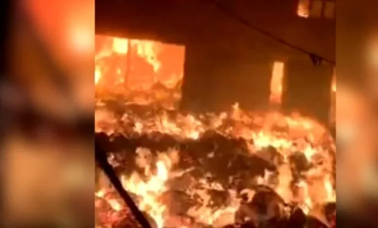 Chhattisgarh news: रायपुर में टिंबर और सरिया फैक्ट्री में लगी भीषण आग; जलकर स्वाहा हुई ये बड़ी फैक्ट्री, दमकल की कई गाड़ियां मौके पर मौजूद