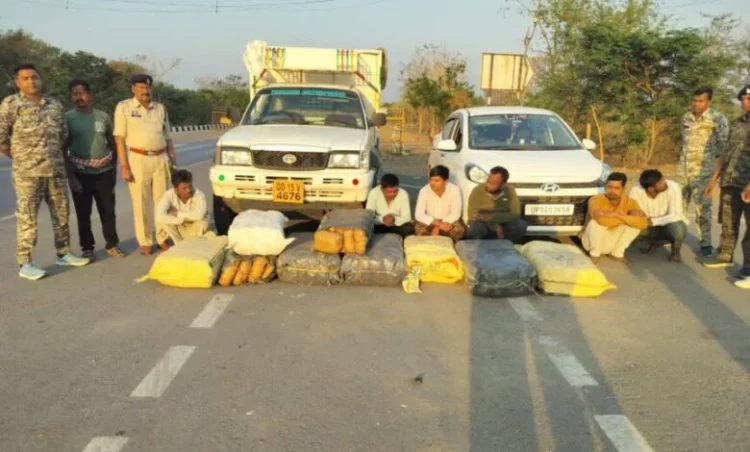 Chhattisgarh News: छत्तीसगढ़ में तरबूजों के नीचे छिपाकर ले जा रहे थे 1.25 करोड़ का गांजा, पुलिस ने 6 तस्‍करों को दबोचा