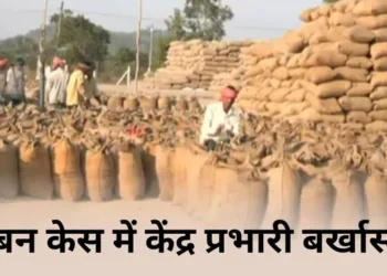 CG News: छत्तीसगढ़ में धान में रेत मिलाकर गबन के मामले में बड़ा एक्शन, खरीदी केंद्र प्रभारी बर्खास्त..