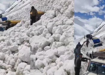 लद्दाख के ज़ोजिला में भारी एवलांच से 7 लोगों की मौत, 5 यात्री घायल; श्रीनगर-लेह हाईवे बंद