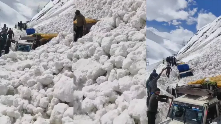 लद्दाख के ज़ोजिला में भारी एवलांच से 7 लोगों की मौत, 5 यात्री घायल; श्रीनगर-लेह हाईवे बंद