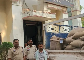 Raigarh News : नाकाबंदी में चक्रधरनगर पुलिस की बड़ी कार्रवाई — 30 क्विंटल चावल पिकअप सहित जब्त