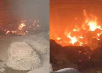 Cg latest news: छत्तीसगढ़ के इस जिले में राइस मिल के गोदाम में लगी भीषण आग, धान और बारदाना जलकर खाक, लाखों का नुकसान