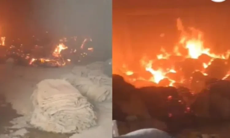 Cg latest news: छत्तीसगढ़ के इस जिले में राइस मिल के गोदाम में लगी भीषण आग, धान और बारदाना जलकर खाक, लाखों का नुकसान