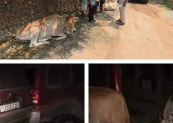 Raigarh News : “ऑपरेशन शंखनाद” में भूपदेवपुर पुलिस की बड़ी सफलता — गौवंश तस्करी की कोशिश नाकाम, तस्कर स्कार्पियो वाहन छोड़ फरार