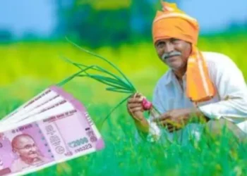 PM Kisan Yojana: सरकार ने PM Kisan योजना में किया बड़ा बदलाव, बिना इस कार्ड के नहीं आएंगे 23वीं किस्त