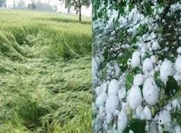 छत्तीसगढ़ में बदलेगा मौसम का मिजाज, तेज हवा के साथ बारिश और ओलावृष्टि के आसार