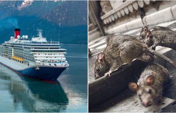Hantavirus Alert: तेजी से फैल रहा है Hantavirus Virus का खतरा, भारत में एक्टिव की गई 165 लैब