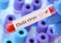Ebola Virus: भारत में इबोला वायरस की दस्तक? अहमदाबाद में लक्षण दिखने पर कांगो के कारोबारी समेत चार लोग आइसोलेशन में