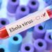 Ebola Virus: भारत में इबोला वायरस की दस्तक? अहमदाबाद में लक्षण दिखने पर कांगो के कारोबारी समेत चार लोग आइसोलेशन में