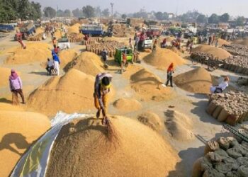 MSP hikes: किसानों के लिए GOOD NEWS! सरकार ने धान की MSP में ₹72 की बढ़ोतरी