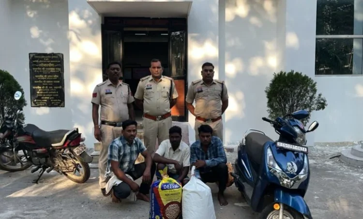 Raigarh News : “ऑपरेशन आघात” के तहत लगातार दूसरे दिन गांजा तस्करों पर रायगढ़ पुलिस की बड़ी कार्रवाई