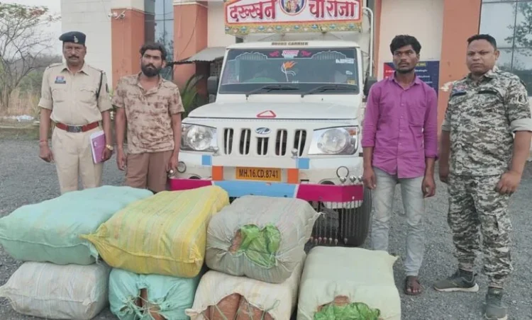 Chhattisgarh top news: छत्तीसगढ़ में गांजा तस्करी नेटवर्क का पर्दाफाश, 1.14 करोड़ से ज्यादा का गांजा के साथ दो तस्कर गिरफ्तार