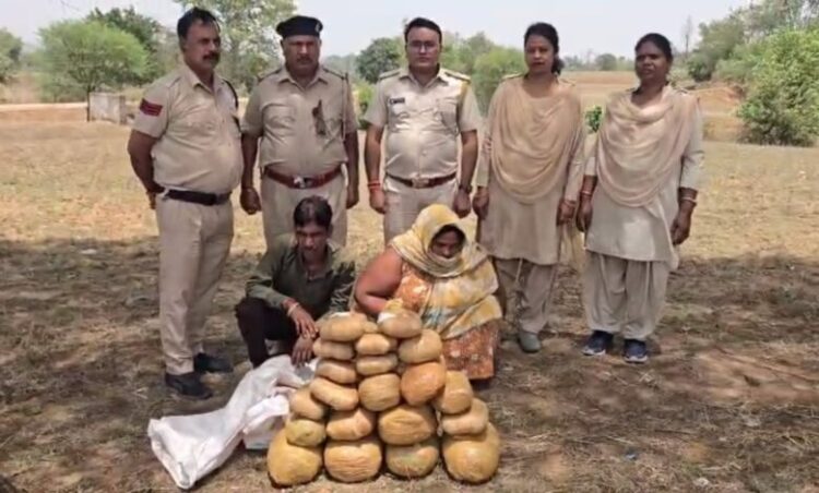 Chhattisgarh news: छत्तीसगढ़ में पति-पत्नी गांजा तस्करी करते हुए गिरफ्तार, 22.6 किलो गांजा जब्त