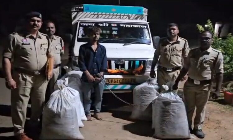 Chhattisgarh news: छत्तीसगढ़ में 65 लाख का गांजा जब्त, सब्जी कैरेट के पीछे छिपाकर हो रही थी तस्करी