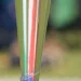 ICC Women’s T20 World Cup 2026: टी20 वर्ल्ड कप लिए BCCI ने टीम इंडिया का किया ऐलान, इस खिलाड़ी को पहली बार मिला मौका
